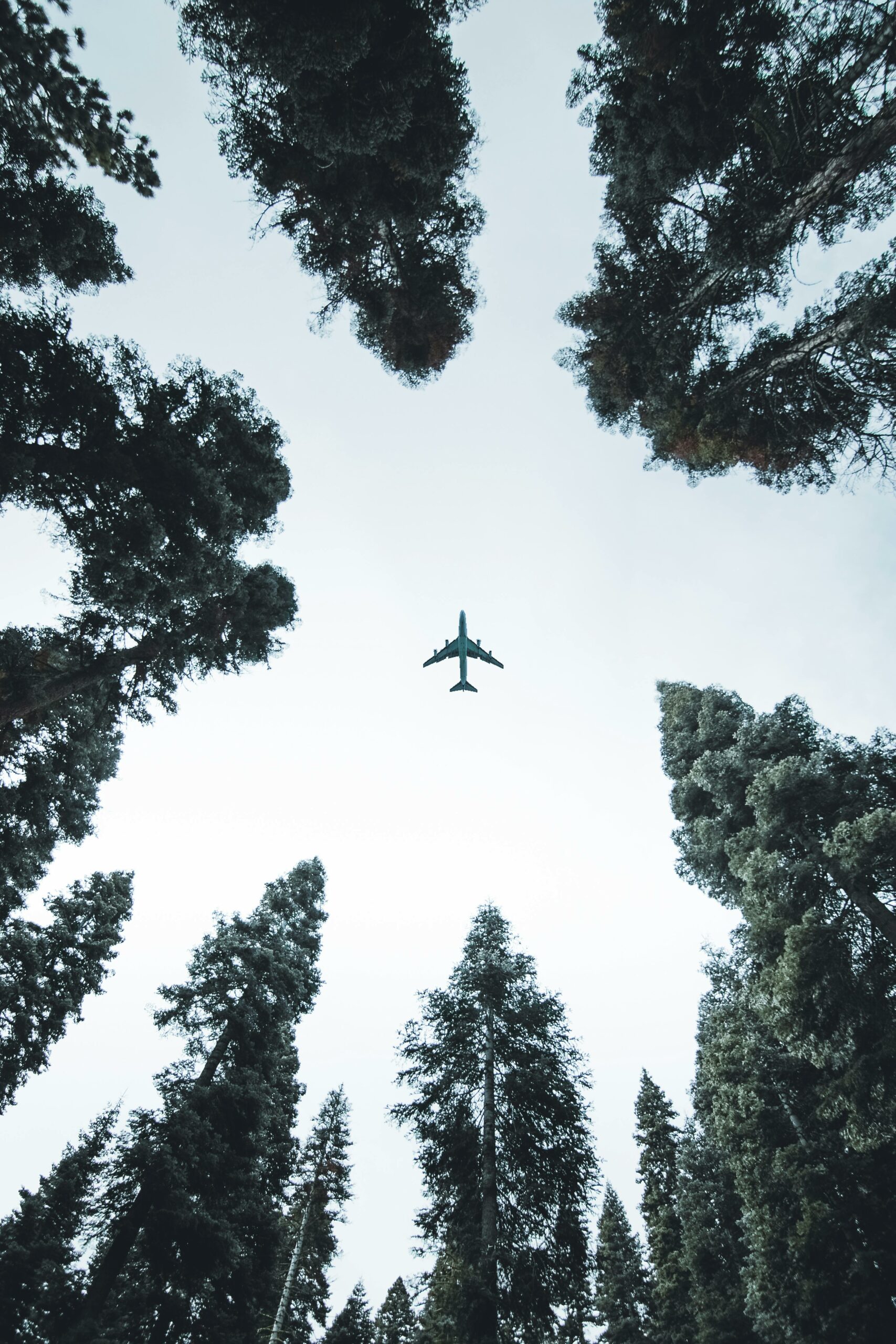 Global Sustainable Aviation Fuel Outlook 2030  | Insight Report | May 2024